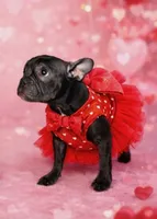 processed/f5bfc7d7-d56a-43ca-a470-f3800822cce9/listing/29c1e1d9-2c69-4ffe-91ec-d8d43dfdb33d/57280f6d-e98c-4ea2-885f-b087cd1cc371