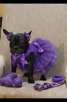 processed/f5bfc7d7-d56a-43ca-a470-f3800822cce9/listing/29c1e1d9-2c69-4ffe-91ec-d8d43dfdb33d/9efdd109-77f7-4512-9d4e-2fd50fd825d0