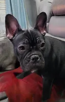 processed/f5bfc7d7-d56a-43ca-a470-f3800822cce9/listing/4ceceed7-d856-4c35-97ac-64ff2c30e1d8/23e05b22-5dab-48b5-b894-0823f5f23d40