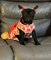 processed/f5bfc7d7-d56a-43ca-a470-f3800822cce9/listing/4ceceed7-d856-4c35-97ac-64ff2c30e1d8/52c4822a-66ef-40ba-9773-5a9876032b26