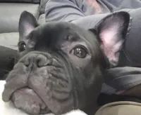 processed/f5bfc7d7-d56a-43ca-a470-f3800822cce9/listing/4ceceed7-d856-4c35-97ac-64ff2c30e1d8/98fc62ff-aa68-491c-a276-ec786cb2e845