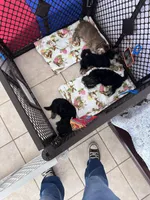 processed/f5cabe8b-d96f-4bee-90a1-e07fb6fac253/facility/1c0567bd-6690-4b18-be52-b874552ed5e5