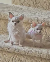 processed/f5d5f483-3c81-4de8-b741-973efe61a843/facility/de5fbd19-30e9-4373-8c38-fb097daee6f4