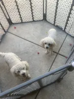 processed/f5d80878-5d35-40f2-b0eb-ac7a89d72b15/facility/fb09a96f-ceb3-4193-9304-70e9d1b7e0b8