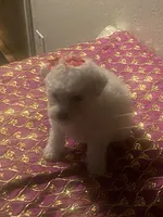 processed/f5d80878-5d35-40f2-b0eb-ac7a89d72b15/listing/d0f51c71-371e-490c-a1f2-b0b7f6150b35/a74a7120-2990-4bac-8ea1-df603826c370