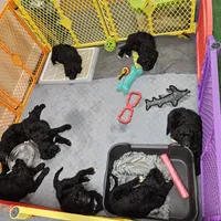 Facility photo