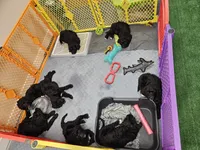 processed/f5e7575c-485d-4be8-8b83-785c706f2cff/facility/1cf490ad-a1ea-47e9-877d-88e33ae1963f