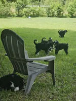 processed/f5e7575c-485d-4be8-8b83-785c706f2cff/facility/dfedcdc5-5d62-4d29-9626-c97e1b38c9e3