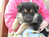 processed/f5ee0ff5-dd8d-4731-8297-0a58bd319ba4/facility/5c55fa21-badb-491e-93a2-c7150faf6e26