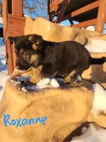 processed/f5ee0ff5-dd8d-4731-8297-0a58bd319ba4/listing/fd0f1989-f3db-409e-ba12-7cb514b0c002/4df0e787-bd77-401f-ba03-fc5be58f4355