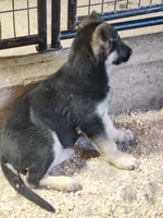 processed/f5ee0ff5-dd8d-4731-8297-0a58bd319ba4/listing/fd0f1989-f3db-409e-ba12-7cb514b0c002/5eced88c-c7cf-45d0-a99b-5169c0514c0a