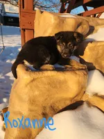 processed/f5ee0ff5-dd8d-4731-8297-0a58bd319ba4/listing/fd0f1989-f3db-409e-ba12-7cb514b0c002/5f171078-58fe-45f4-8c99-f3b29ee84d26