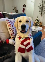 processed/f6055fe5-5840-4c3a-a799-0e121c865c03/listing/8046fa7f-b993-4412-ab14-0756b1bd462c/d42005f8-de44-4a96-9023-c6ee526cf918