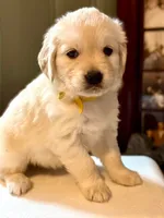 processed/f6055fe5-5840-4c3a-a799-0e121c865c03/listing/aeb3f10d-0613-40d6-8dd6-4d81878a713c/c8846886-7703-4085-bfcb-d5b1a28e9902