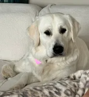 processed/f6055fe5-5840-4c3a-a799-0e121c865c03/listing/c3840bc4-6ff7-4bcf-8372-8c18d1081548/f0b10997-c681-4038-bb75-e8b2b56e9a18