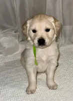 processed/f6055fe5-5840-4c3a-a799-0e121c865c03/listing/e36056da-e1e9-43e0-976c-76923e6c23b8/00b29308-20ef-4233-b987-cf3ff3ea1cb5