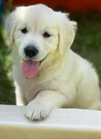 processed/f6055fe5-5840-4c3a-a799-0e121c865c03/listing/e36056da-e1e9-43e0-976c-76923e6c23b8/8b15847c-ef60-4542-b05f-4f8e22a75f65