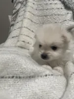 processed/f6120112-2fea-4fa8-bc16-17aa8990fb1c/listing/085fb5dd-af43-4d9d-8a0d-6600d44b5cca/739aa504-e3ea-47da-bc4d-6dcc4c1d15cd