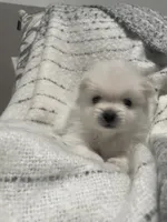 processed/f6120112-2fea-4fa8-bc16-17aa8990fb1c/listing/085fb5dd-af43-4d9d-8a0d-6600d44b5cca/84bba5ee-9985-458e-8566-09022d70fadc