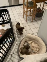 processed/f6186d27-a14e-4bc4-bbee-39f1102b1df2/facility/07ccb23f-fda4-4608-927f-58d4b88bc104