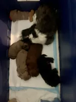 processed/f6186d27-a14e-4bc4-bbee-39f1102b1df2/facility/2122384d-3d97-432f-96a9-2dae82000e22