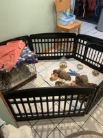 processed/f6186d27-a14e-4bc4-bbee-39f1102b1df2/facility/44cc97e0-7c40-4795-899e-d271f0de9720