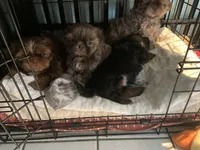 processed/f6186d27-a14e-4bc4-bbee-39f1102b1df2/facility/47d763bc-4b11-4632-b33d-dbf5d1692af4