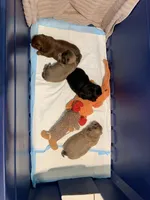 processed/f6186d27-a14e-4bc4-bbee-39f1102b1df2/facility/b9455cfc-6fd4-4a88-80ce-d0e6005658e0