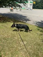 processed/f61c7640-fbca-433c-aef6-f82cf112276e/facility/022328fc-b364-4084-b0f3-bd787c994c10