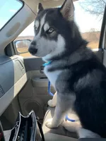 processed/f61c7640-fbca-433c-aef6-f82cf112276e/facility/158e5d4e-d569-4477-94e0-c2bf1fd9d323