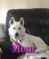 processed/f61c7640-fbca-433c-aef6-f82cf112276e/facility/275e5449-1a9e-4fd1-8d73-e42852403270