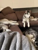 processed/f61c7640-fbca-433c-aef6-f82cf112276e/facility/81461b14-3eff-4414-aa32-eb201fea8460