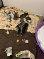 processed/f61c7640-fbca-433c-aef6-f82cf112276e/facility/dc3ab92a-9a5a-4241-8f3c-fd2e9a5e143e