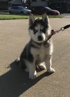 processed/f61c7640-fbca-433c-aef6-f82cf112276e/facility/e484b471-2326-4222-b486-52d8eb336954