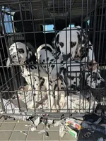 processed/f62232a1-6b67-4fc6-8182-5fd805a55843/listing/03187473-3510-48cd-a966-d779a720a382/26609d45-c91b-4e7d-b727-75cceebc5204