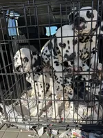 processed/f62232a1-6b67-4fc6-8182-5fd805a55843/listing/03187473-3510-48cd-a966-d779a720a382/9bf6dc84-19a0-4697-8c41-b1ff292ae461