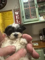 processed/f62232a1-6b67-4fc6-8182-5fd805a55843/listing/0d1ef273-3cd0-41bc-b6b5-9776c3122bdf/e0477da0-23bc-4d07-89a0-9704444af493