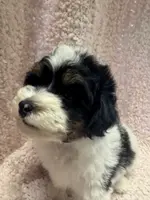 processed/f62232a1-6b67-4fc6-8182-5fd805a55843/listing/0d1ef273-3cd0-41bc-b6b5-9776c3122bdf/e51c45be-1b23-4528-ada9-68280acb47a0