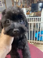 processed/f62232a1-6b67-4fc6-8182-5fd805a55843/listing/120d32d7-318f-40e0-bd57-f2de6f6837c4/03005a56-b448-4086-aa2b-6950710a6e62