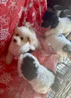 processed/f62232a1-6b67-4fc6-8182-5fd805a55843/listing/120d32d7-318f-40e0-bd57-f2de6f6837c4/65417f4c-96f7-415c-ac22-b7b99b237689