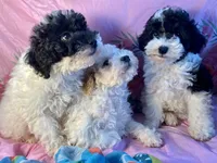 processed/f62232a1-6b67-4fc6-8182-5fd805a55843/listing/120d32d7-318f-40e0-bd57-f2de6f6837c4/6a31e984-846d-4415-bba8-88a49b9dcd21