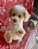 processed/f62232a1-6b67-4fc6-8182-5fd805a55843/listing/120d32d7-318f-40e0-bd57-f2de6f6837c4/86b11bb0-7d8d-40f5-bd1d-5484f3e78fb3