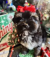 processed/f62232a1-6b67-4fc6-8182-5fd805a55843/listing/22a095a9-303b-4ac2-9a92-6b92cdb47871/1216e3dd-cdf1-47d6-9652-fd613d1d0a6c