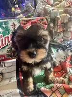 processed/f62232a1-6b67-4fc6-8182-5fd805a55843/listing/22a095a9-303b-4ac2-9a92-6b92cdb47871/50d6967c-75db-478d-9eec-28bd3bb422fa