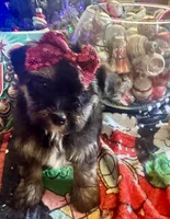 processed/f62232a1-6b67-4fc6-8182-5fd805a55843/listing/22a095a9-303b-4ac2-9a92-6b92cdb47871/5c65d2ec-4e30-4f2b-a8ac-b0b54ddaa185