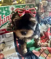 processed/f62232a1-6b67-4fc6-8182-5fd805a55843/listing/22a095a9-303b-4ac2-9a92-6b92cdb47871/bb166c55-43e6-4773-8514-ea0d4aa7e7fa