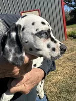 processed/f62232a1-6b67-4fc6-8182-5fd805a55843/listing/49399ff0-5b8c-49db-952e-245d417b5ddb/1476ca69-e563-4db8-bc24-1ba4b7040e18