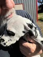 processed/f62232a1-6b67-4fc6-8182-5fd805a55843/listing/49399ff0-5b8c-49db-952e-245d417b5ddb/65608055-1541-4a3e-9a93-08b522ef6227