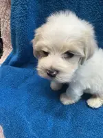 processed/f62232a1-6b67-4fc6-8182-5fd805a55843/listing/55c0a1b2-88bd-4c75-803e-f8d30dbb304f/05888db4-36b7-49b2-bc01-d5d6dffc867a