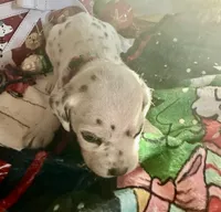 processed/f62232a1-6b67-4fc6-8182-5fd805a55843/listing/5e8d8322-046a-451d-8f43-2f6eff8426f5/39e3607c-96a4-456e-9e04-b1d5091d6338